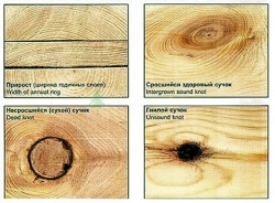 Природные дефекты и недостатки древесины и пиломатериалов 