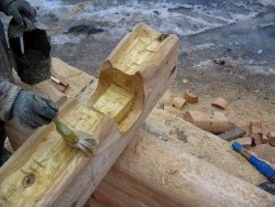Защита деревянного дома антисептиком на этапе строительства - пропитка бревна