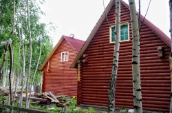 Вид деревянных домов с заднего фасада